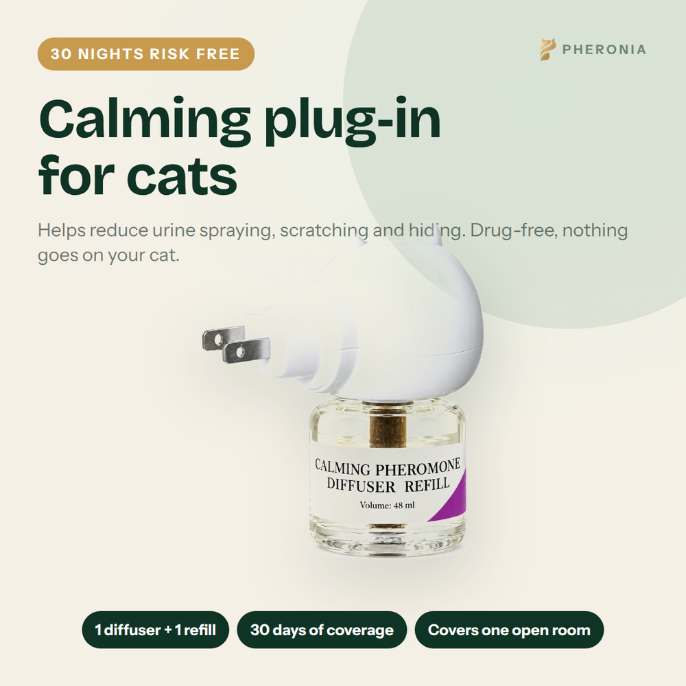 Pheronia Stillroom plug-in pheromone diffuser for cats, 30-day kit