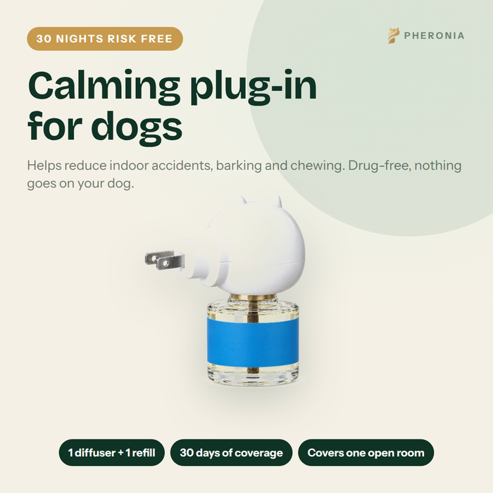 Pheronia Stillroom Dog Calming Pheromone Diffuser: Helps Reduce Barking, Chewing & Accidents When You Leave