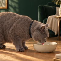 Water-resistant: the Softband calming collar for cats stays on around water