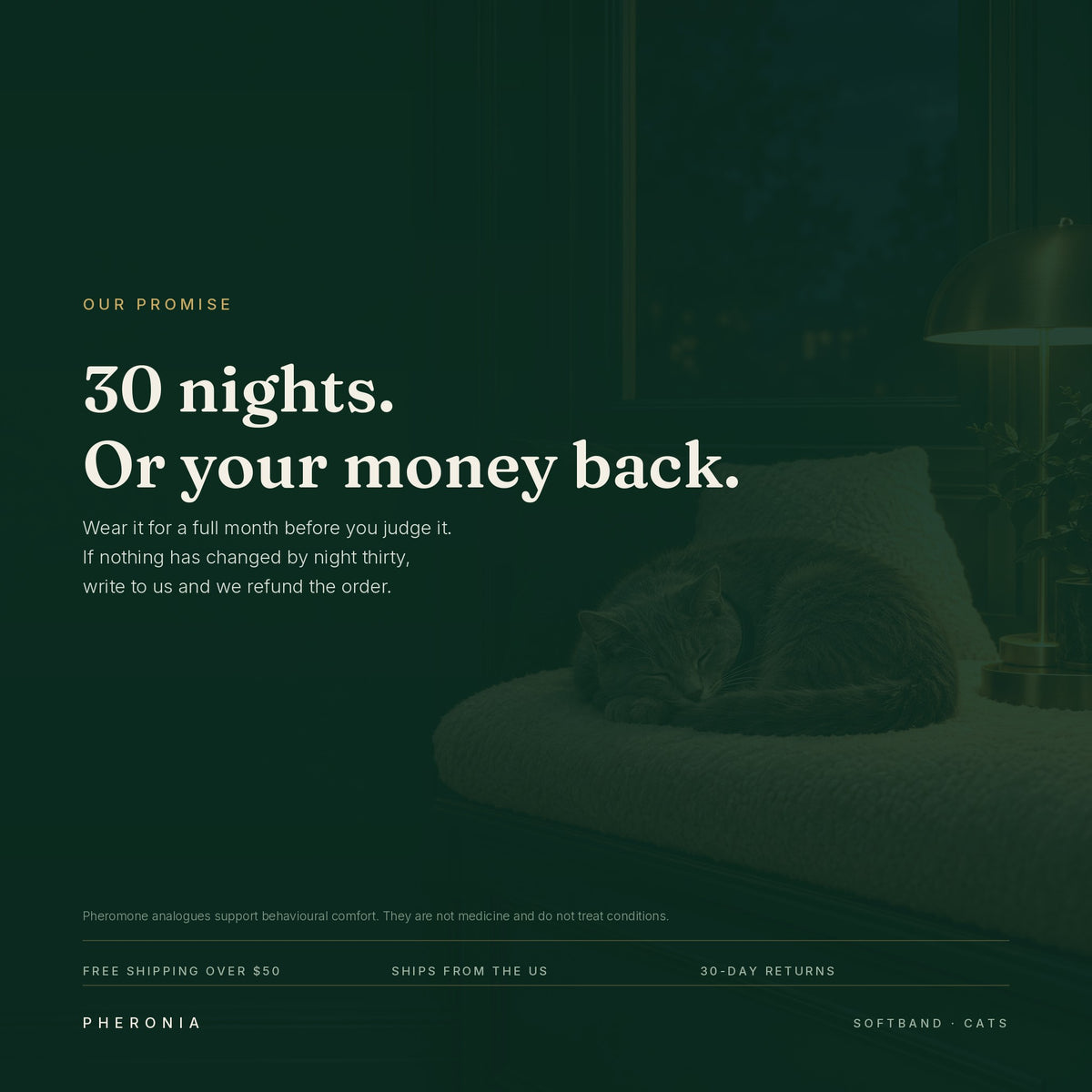 Thirty nights or your money back