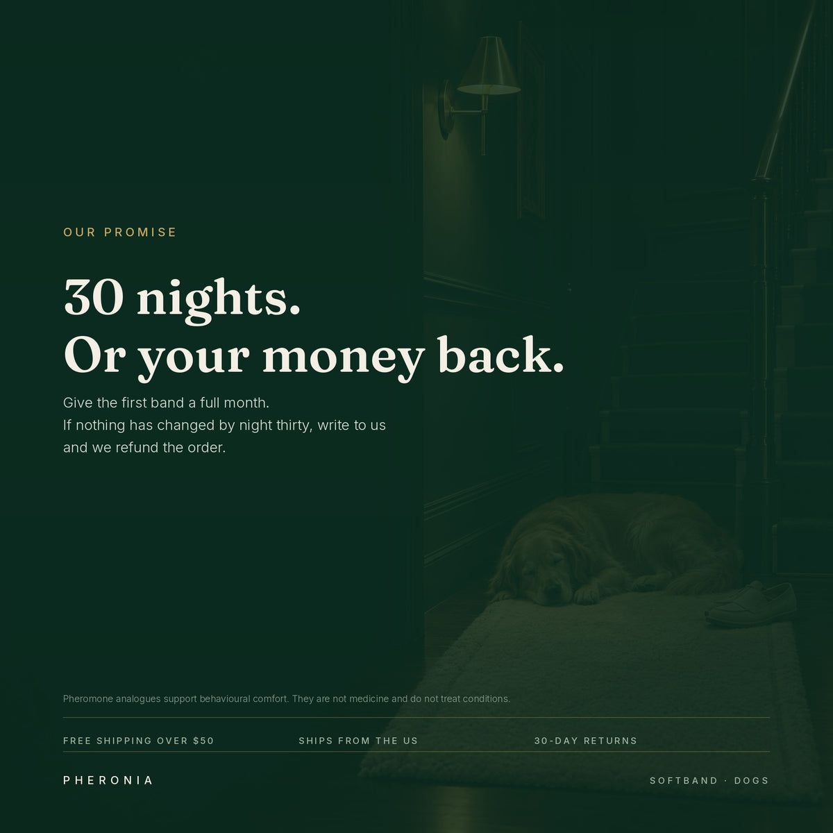 Thirty nights or your money back