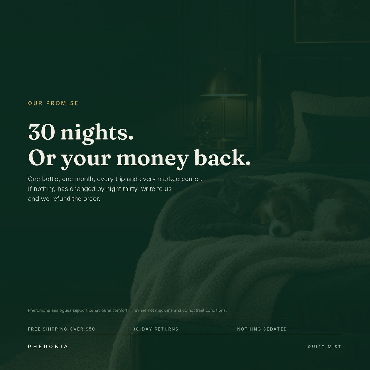 Thirty nights or your money back