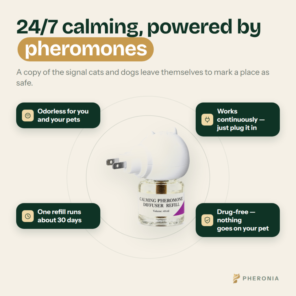 Pheronia Stillroom Cat Calming Pheromone Diffuser
