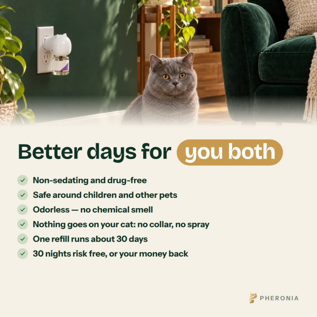 Pheronia Stillroom Cat Calming Pheromone Diffuser