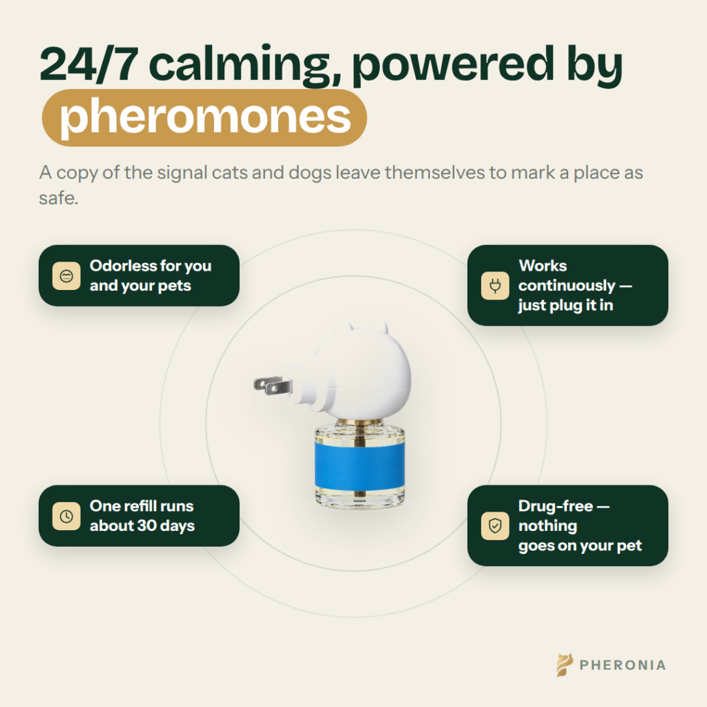 Pheronia Stillroom Dog Calming Pheromone Diffuser