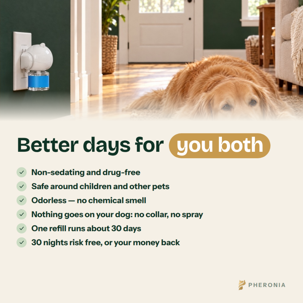Pheronia Stillroom Dog Calming Pheromone Diffuser